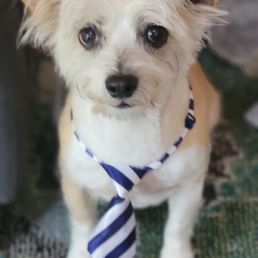After haircut