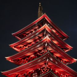 The Pampered Tourist - Tokyo Japan, a city of amazements