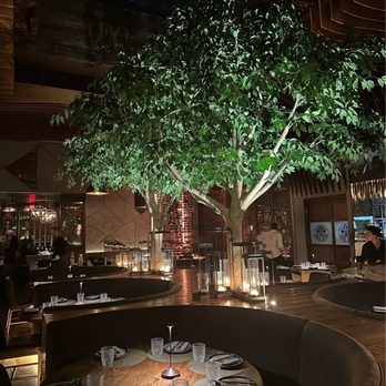 Toca Madera Scottsdale - Interior past 12am - Mexican Near Me - Scottsdale, Arizona Toca Madera Scottsdale - Interior past 12am - Mexican Near Me - Scottsdale, Arizona
