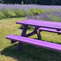 Laurel Lavender Farm
