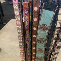 All American Quarter Horse Congress