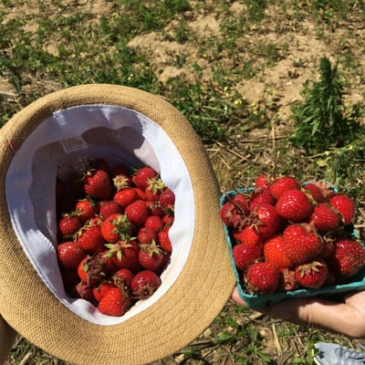 Garden of Eve Organic Farm by null