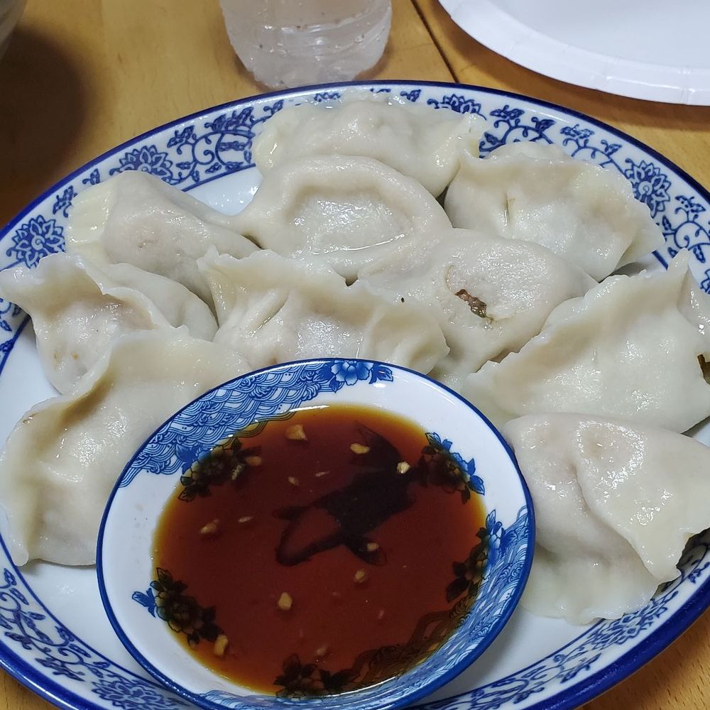 Pork dumplings