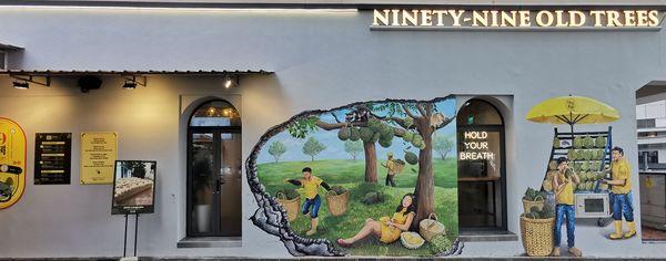 99 Old Trees Durian by null