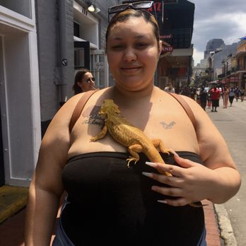 Bourbon Street - Lady with a Bearded Dragon enjoying Bourbon Street. - Local Flavor Near Me - New Orleans, Louisiana Bourbon Street - Lady with a Bearded Dragon enjoying Bourbon Street. - Local Flavor Near Me - New Orleans, Louisiana