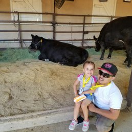 So excited to see the cows