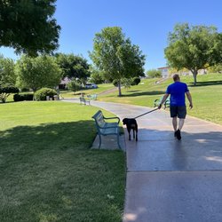 Bicentennial Park - Nice green grass 5/13.23 lots of dedicated benches to sit on