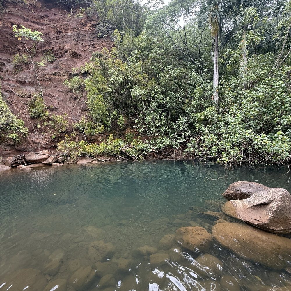 North Shore EcoTours - Swimming hole - Hiking Near Me - Haleiwa, Hawaii North Shore EcoTours - Swimming hole - Hiking Near Me - Haleiwa, Hawaii