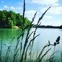 Photo of Etang de l'Orme Blanc