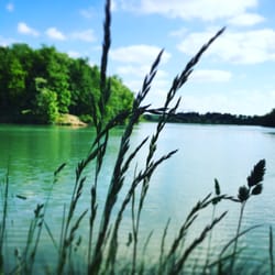 Etang de l'Orme Blanc - Verdure