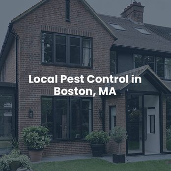 General Environmental Services - Pest Control Near Me - Malden, Massachusetts General Environmental Services - Pest Control Near Me - Malden, Massachusetts