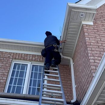 Brilliex Pest Control - Pest Control Near Me - Richmond Hill, Ontario Brilliex Pest Control - Pest Control Near Me - Richmond Hill, Ontario