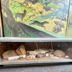 Placer Nature Center