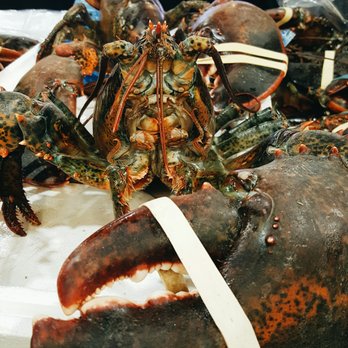 H Mart - Cary - Live lobster! Humongous. - Grocery Near Me - Cary, North Carolina H Mart - Cary - Live lobster! Humongous. - Grocery Near Me - Cary, North Carolina