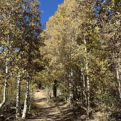 Spooner Lake - Spooner Lake trail