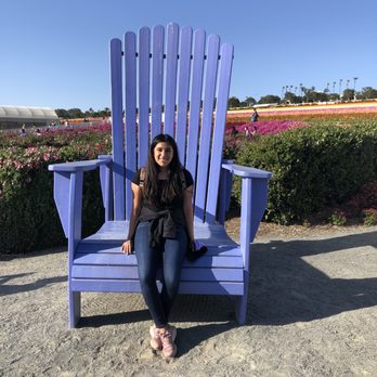 The Flower Fields - Venues & Event Spaces Near Me - Carlsbad, California The Flower Fields - Venues & Event Spaces Near Me - Carlsbad, California