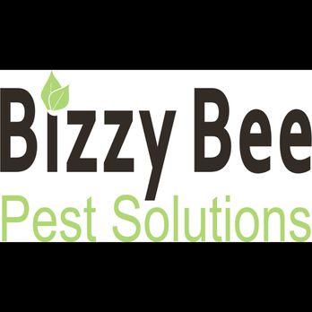 Bizzy Bee Pest Solutions - Bizzy Bee Pest Solutions - Pest Control Near Me - Gilmer, Texas Bizzy Bee Pest Solutions - Bizzy Bee Pest Solutions - Pest Control Near Me - Gilmer, Texas