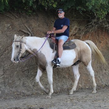Five Oaks Riding Stables - Horseback Riding Near Me - Sevierville, Tennessee