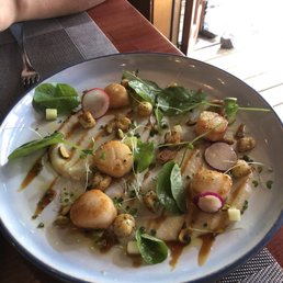 Scallops Scallops