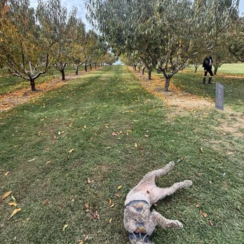 Jeter Mountain Farm - Pick Your Own Farms Near Me - Hendersonville, North Carolina Jeter Mountain Farm - Pick Your Own Farms Near Me - Hendersonville, North Carolina