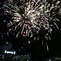 Crazy Ducks Fireworks