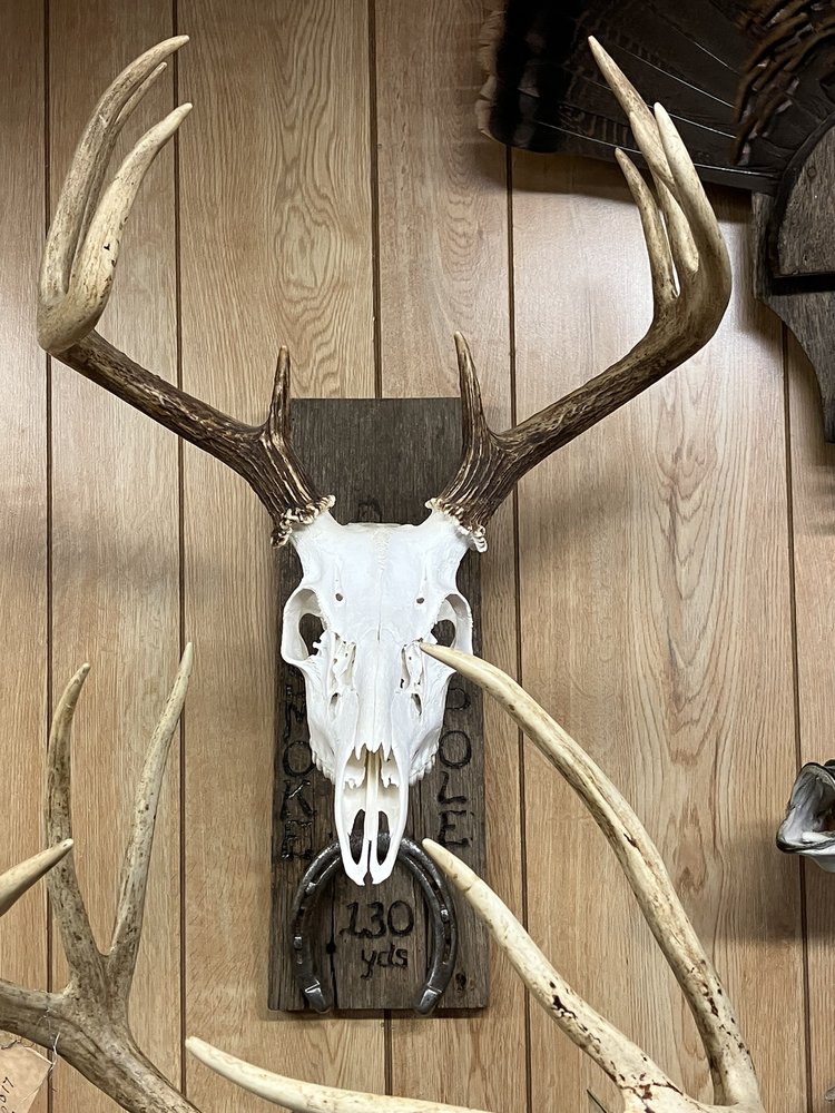 Fins Tines & Feathers - taxidermy in Liberty, NC