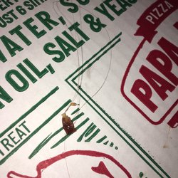 Papa Johns Pizza - Hair stuck in pepperoni