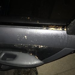 Pro Clean Car Wash >> Pro Clean Car Wash Detailing 11 Reviews Auto Detailing Pro Clean Car Wash >> Pro Clean Car Wash Detailing 11 Reviews Auto Detailing