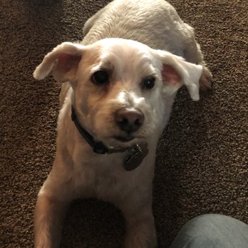 Barks & Bubbles Grooming - Pet Groomers Near Me - Klamath Falls, Oregon