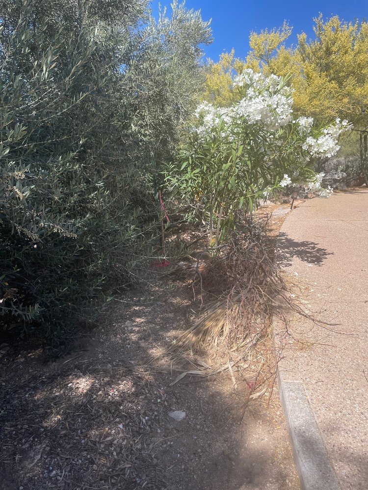 HAWKEYE LAND SURVEYING Updated October 2024 6269 E 2nd St, Tucson