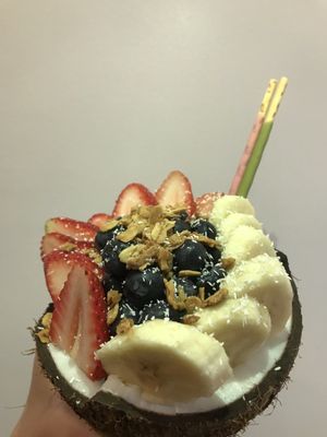 Arctic Scoop by null