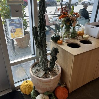 Franquette - Fall decor - Wine Bars Near Me - West Sacramento, California Franquette - Fall decor - Wine Bars Near Me - West Sacramento, California