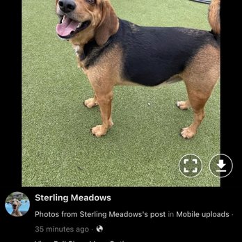 Sterling Meadows Feed & Tack - Pet Groomers Near Me - Virginia Beach, Virginia Sterling Meadows Feed & Tack - Pet Groomers Near Me - Virginia Beach, Virginia