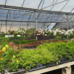Taggart's Garden Center
