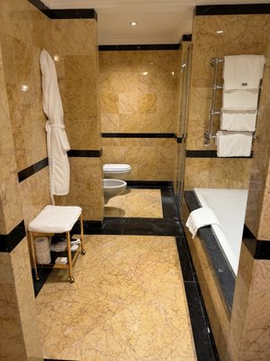 The Westin Excelsior, Rome by null