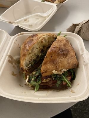 Night Owl PNW by null