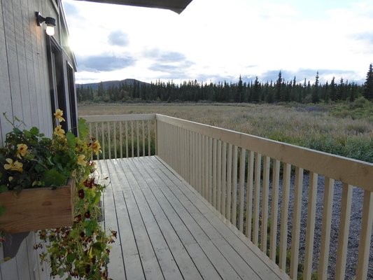 Denali Park Hotel by null
