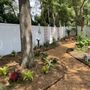 Photo of Soular Gardening