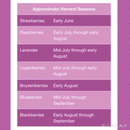 Plan your picking schedule now :) Plan your picking schedule now :)