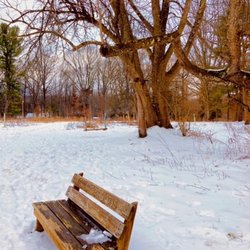 Saunders Woods Preserve - Natural Lands - Saunders Woods Preserve
