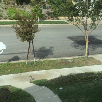 Lawn By Twins - Before - Tree Services Near Me Lawn By Twins - Before - Tree Services Near Me