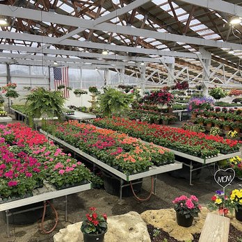 Country Flower Market - Nurseries & Gardening Near Me - Kankakee, Illinois Country Flower Market - Nurseries & Gardening Near Me - Kankakee, Illinois