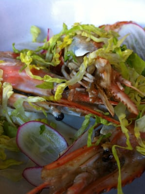 Rich Table by null Rich Table by null