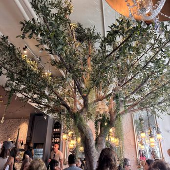 Glimmer Cafe - Interior decor - Cafes Near Me - Delray Beach, Florida