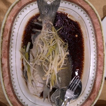Suncrop Chinese Restaurant - Whole fish steamed - Chinese Near Me - Sunnybank, QLD Suncrop Chinese Restaurant - Whole fish steamed - Chinese Near Me - Sunnybank, QLD