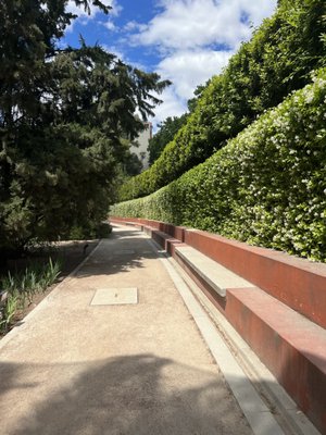 Real Jardín Botánico by null