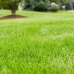 Lawn Doctor