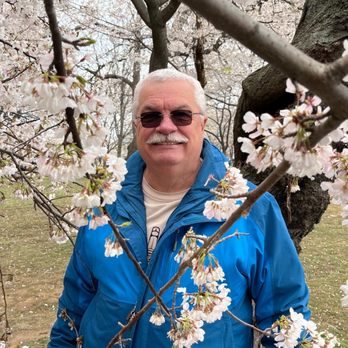 Tidal Basin - Husband with cherry blossoms - Lakes Near Me - Washington, DC, District of Columbia