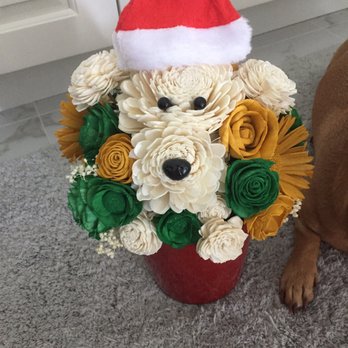 Keri Nakahashi Photography - So sweet. She gave us a home made gift for Christmas :) - Pet Photography Near Me