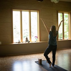 Trauma Sensitive Yoga Project